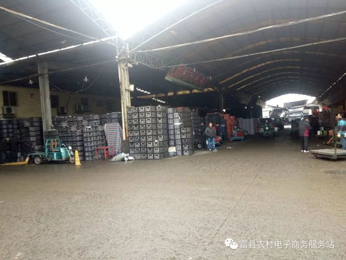 浙江金华农产品批发市场 延安苹果预测报告